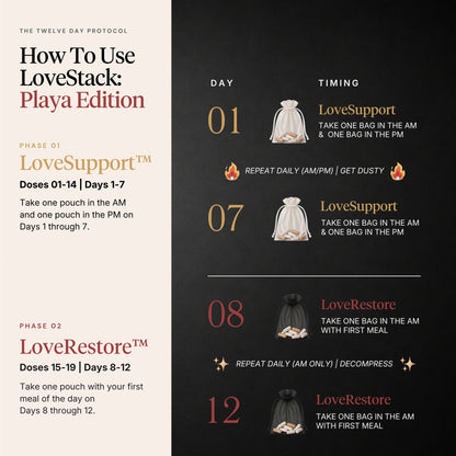An informational graphic titled 'How To Use LoveStack: Playa Edition' with a 12-day protocol layout. The left side is cream-colored with black and burgundy text for Phase 01 LoveSupport™, and the right side is dark charcoal with gold and burgundy text for Days 01 through 12 and Phase 02 LoveRestore™.